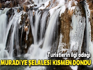Muradiye Şelalesi kısmen dondu !
