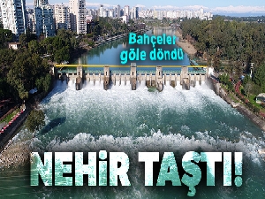 Seyhan Nehri taştı, bahçeler göle döndü