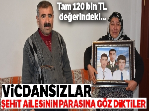 Şehit ailesi dolandırıldı