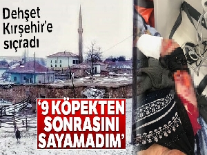 Kayseri'den sonra Kırşehir'de köpek saldırısı