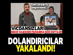 Şehit ailesini dolandıranlar yakalandı