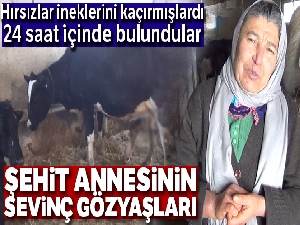 Şehit annesi ineklerine kavuştu, sevinç gözyaşları döktü