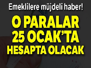 Bakan Selçuk: 'Emeklilerimizin farkları Ocak ayı içerisinde ödenecektir'