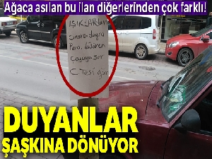 Yolda bulduğu paranın sahibini ağaca astığı ilanla arıyor