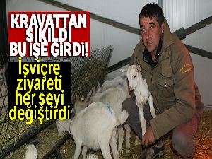 Kravattan sıkıldı, keçi çiftliği kurdu