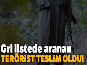 Gri listede aranan terörist teslim oldu!