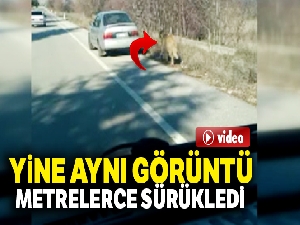 Arabaya bağladığı köpeği çekerek götürdü