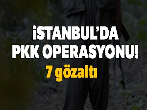 İstanbul'da 7 PKK'lı tutuklandı