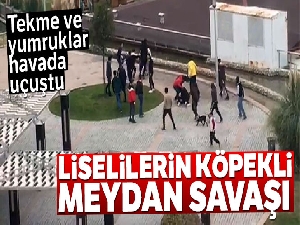 Liselilerin köpekli kavgası!