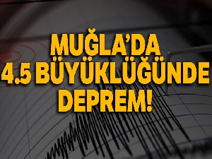 Muğla'da 4,5 büyüklüğünde deprem