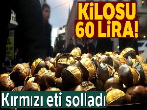 Kestane kırmızı eti solladı