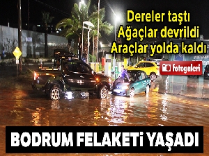Bodrum'da dereler taştı, ağaçlar devrildi, araçlar yolda kaldı