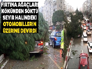 Fırtına ağaçları kökünden söktü, seyir halindeki otomobillerin üzerine devirdi
