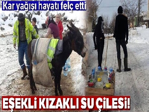 Eşekli kızaklı su çilesi