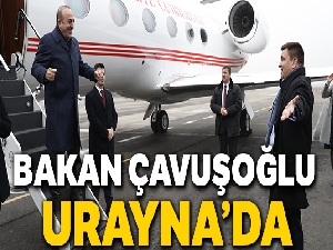 Bakan Çavuşoğlu, Ukrayna'da