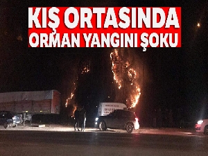 Kış ortasında orman yangını şoku