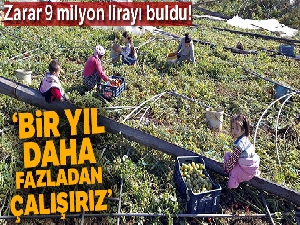 Mersinli çiftçiler hortum afetini sosyal medyadan paylaştı