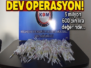 Bolu'da 5 milyon 600 bin TL değerinde kobra zehri ele geçirildi
