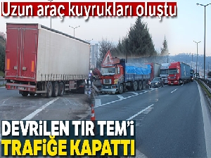 Devrilen tır TEM'i trafiğe kapattı
