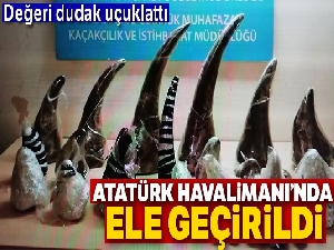Atatürk Havalimanı'nda gergedan boynuzu operasyonu