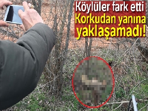 Hasta kurda ilk müdahale belediyeden