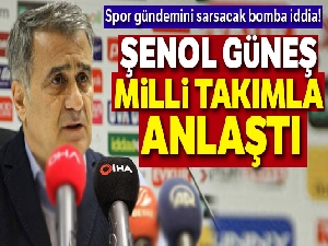 A Milli Takım'da Şenol Güneş iddiası