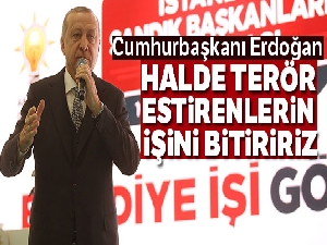 Cumhurbaşkanı Erdoğan: 'Halde terör estirenlerin işini bitiririz'