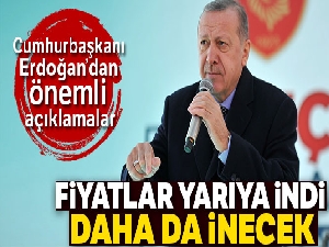 Cumhurbaşkanı Erdoğan:'Fiyatlar yarıya indi, daha da inecek'