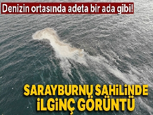 Sarayburnu sahilinde ilginç görüntü