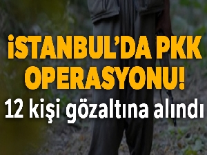 İstanbul'da 12 PKK'lı yakalandı