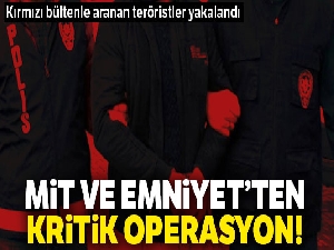 MİT ve TEM'den ortak DEAŞ operasyonu