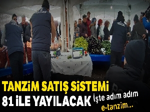 Tanzim satış sistemi 81 ile yayılacak