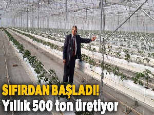 Sıfırdan başladı, yıllık 500 ton domates üretiyor