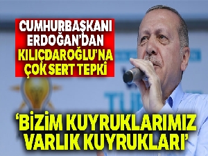 Cumhurbaşkanı Erdoğan: 'Bay Kemal bizim kuyruklarımız yokluk değil, varlık kuyrukları'