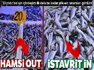 Hamsi Out, istavrit İn...