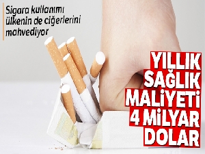 Hüseyin Demir: 'Sigara kullanımı ekonomik açıdan ülkenin ciğerlerini mahvediyor'