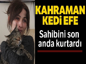 'Efe' kedi patisiyle sahibini yanmaktan kurtardı