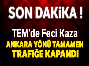 TEM'de zincirleme kaza !