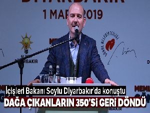 Bakan Soylu:'15 bin adam vardı dağlarda, şimdi 700 tane kaldı'