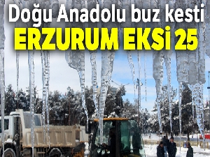 Doğu Anadolu buz kesti: Erzurum eksi 25