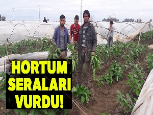 Tarsus'ta hortum seraları vurdu