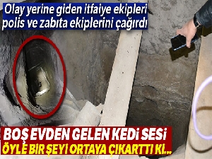 Boş evden gelen kedi sesi, define kuyusunu ortaya çıkardı