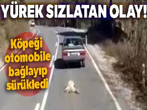 İzmir'de yürek sızlatan olay: Köpeği otomobile bağlayıp sürükledi