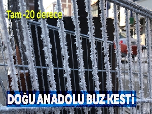 Doğu Anadolu buz tuttu: Kars eksi 20