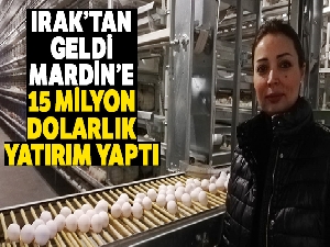 Irak'tan geldi, Mardin'e 15 milyon dolarlık yatırım yaptı