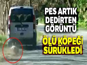 Ölü köpeği sürükledi