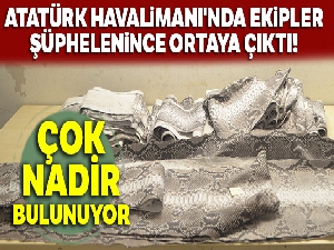 Atatürk Havalimanı'nda 'yılan derisi' operasyonu
