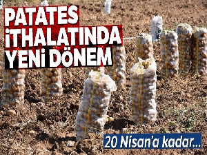 Patates ithalatında tarife kontenjanı açıldı