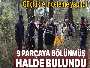 Antalya'da 9 parça halinde ceset bulundu