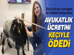 Avukatlık ücretini 'keçiyle' ödedi